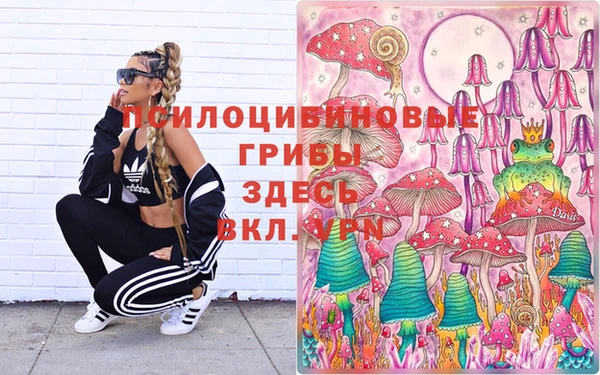 молекула духа Кинешма