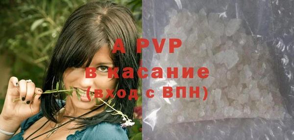 молекула духа Кинешма